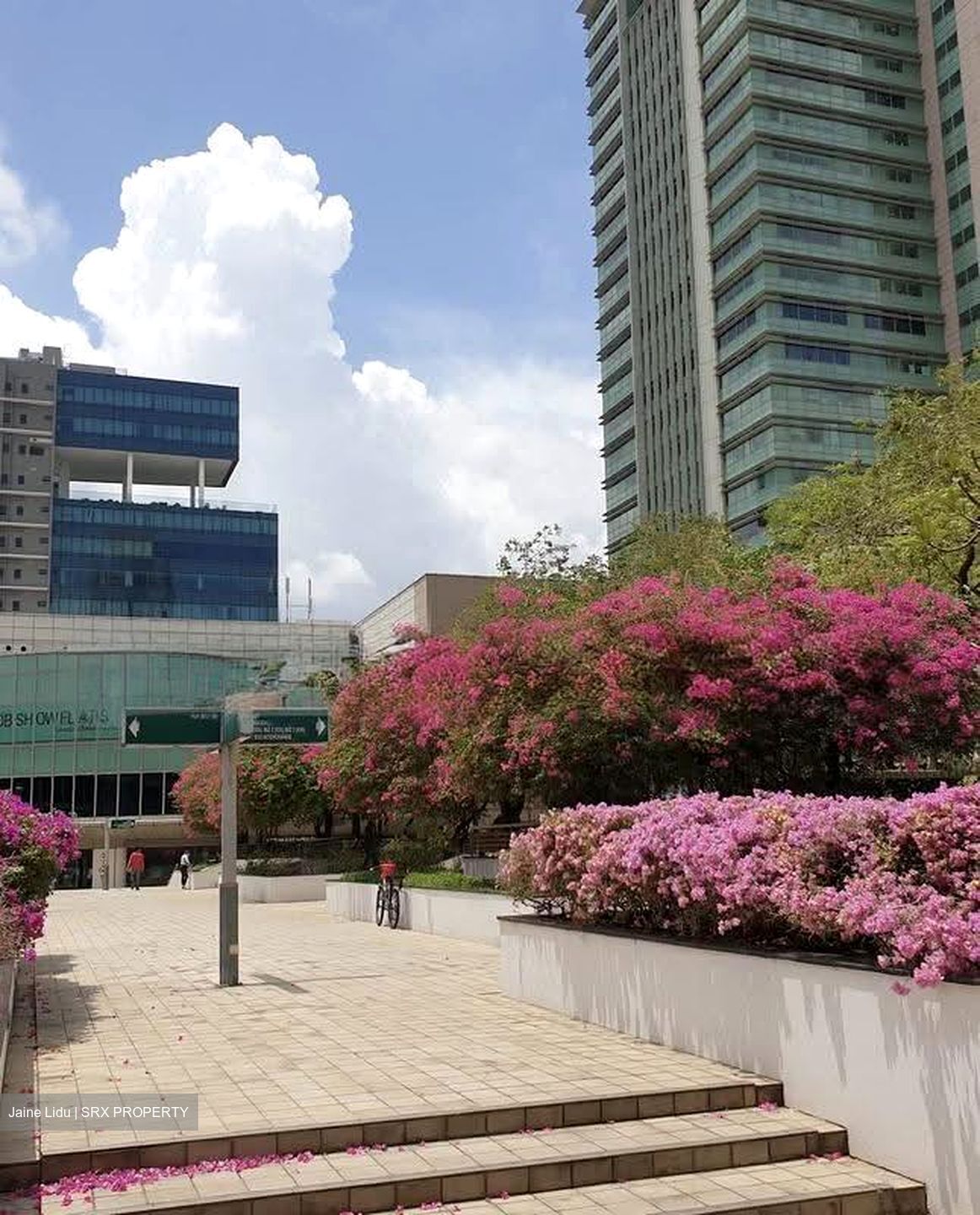 Toa Payoh Central (D12), Shop House #612389111
